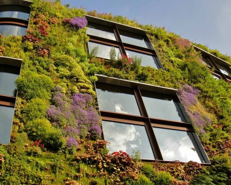 Вертикальные сады: зеленые фасады для ценителей эко-тренда